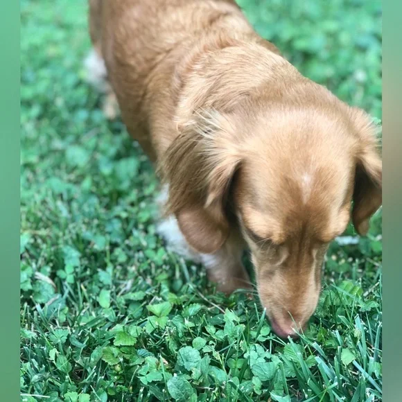 LIKE TO BE NOTIFIED 💟 I’M LIVE 💟 - Picture 11 of 13